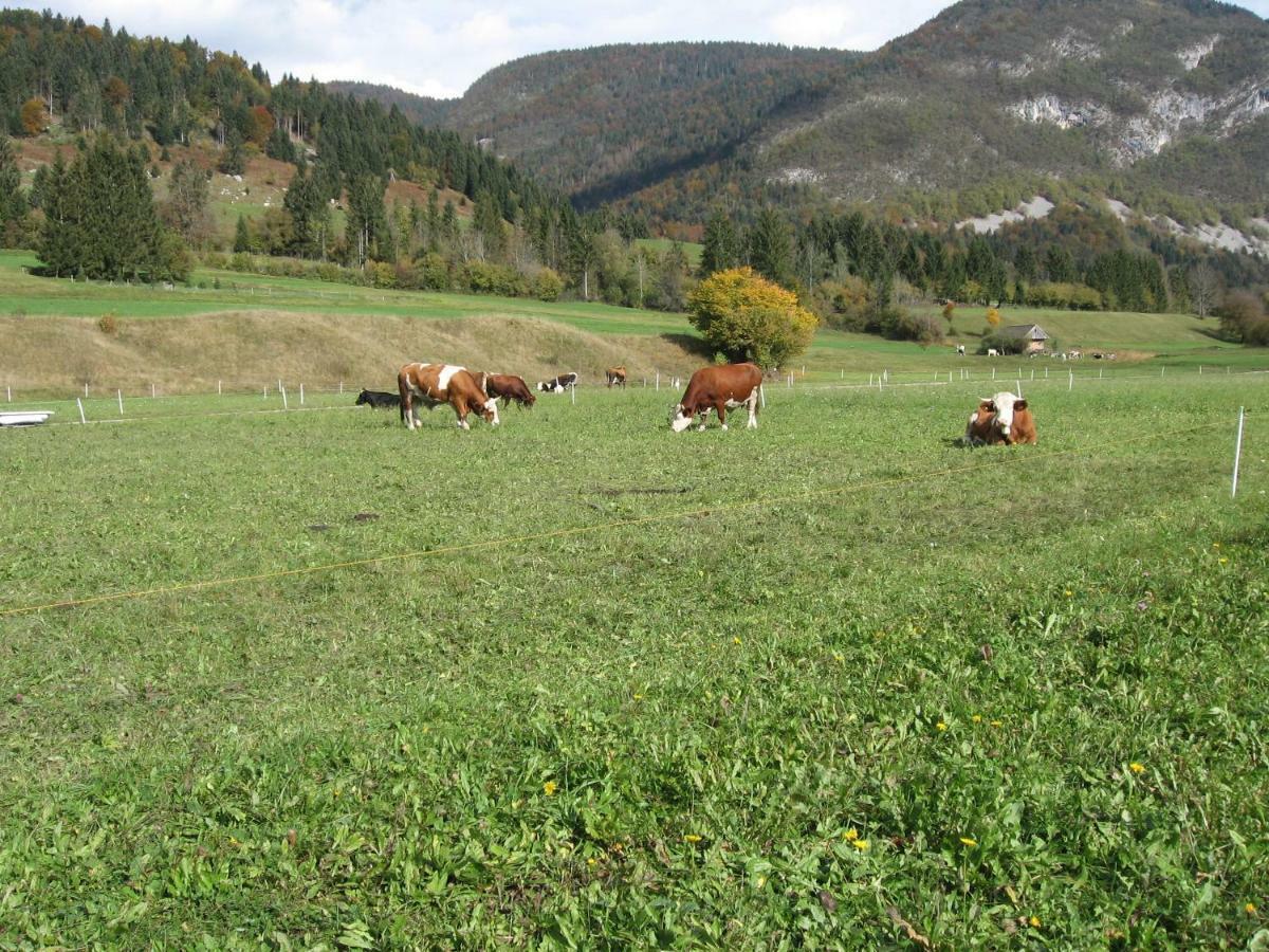 Apartma Neva Bohinj Exterior foto
